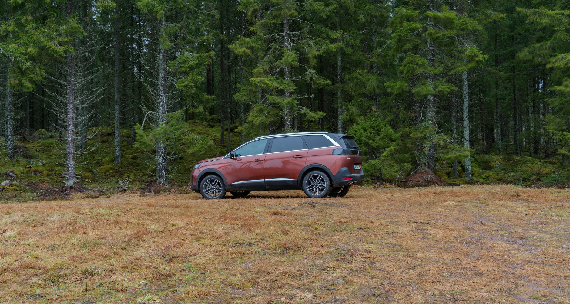 Czerwony SUV zaparkowany na trawie wśród drzew iglastych